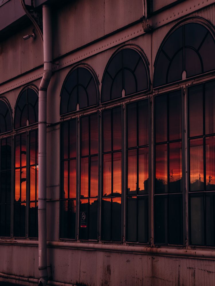 Photograph by Алиса Нежинская