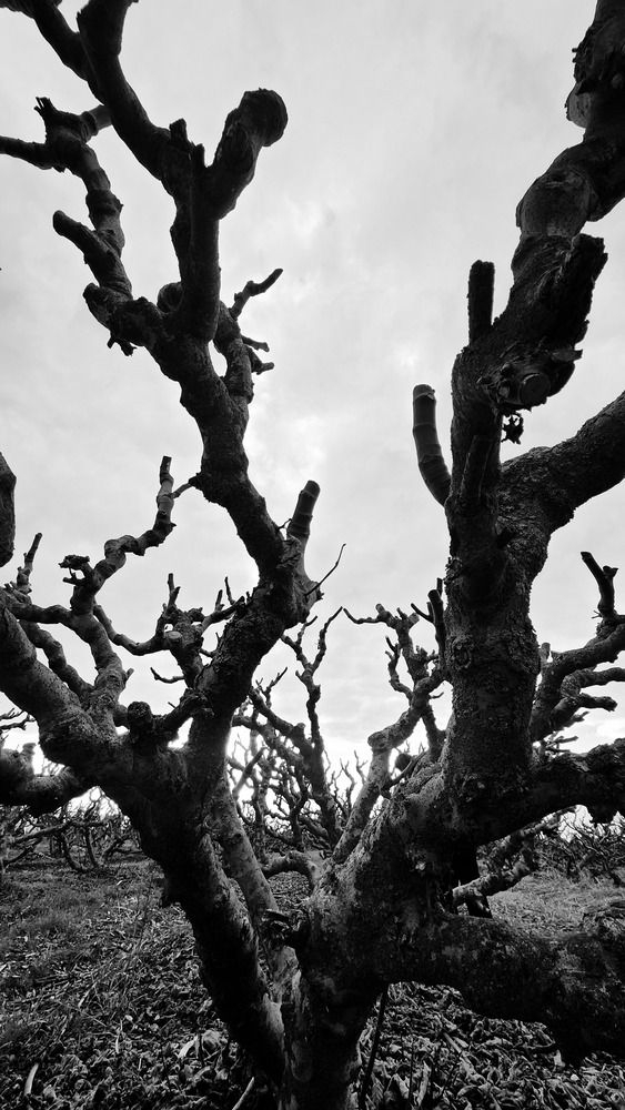 Photograph by esti lahat