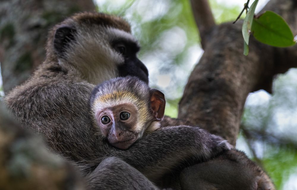 Photograph by Лозицкий Александр