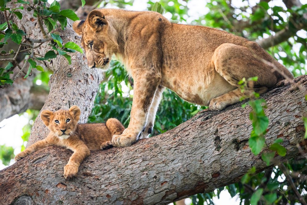 Photograph by Лозицкий Александр