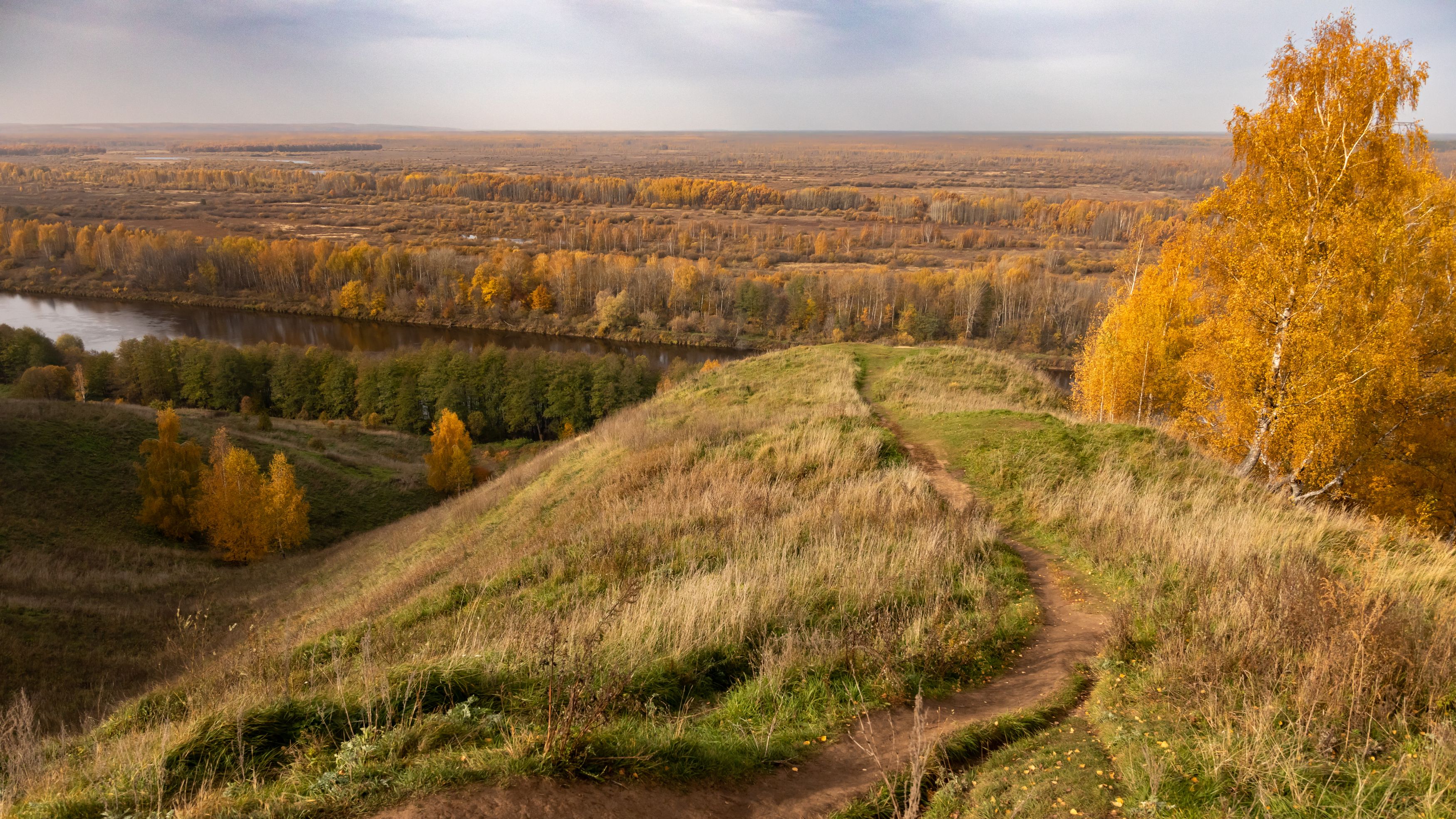 Photograph by Светлана Тараканова
