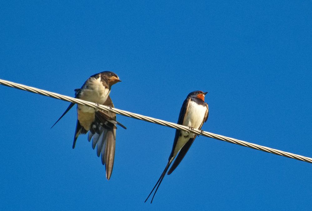 Photograph by Сергей Булат