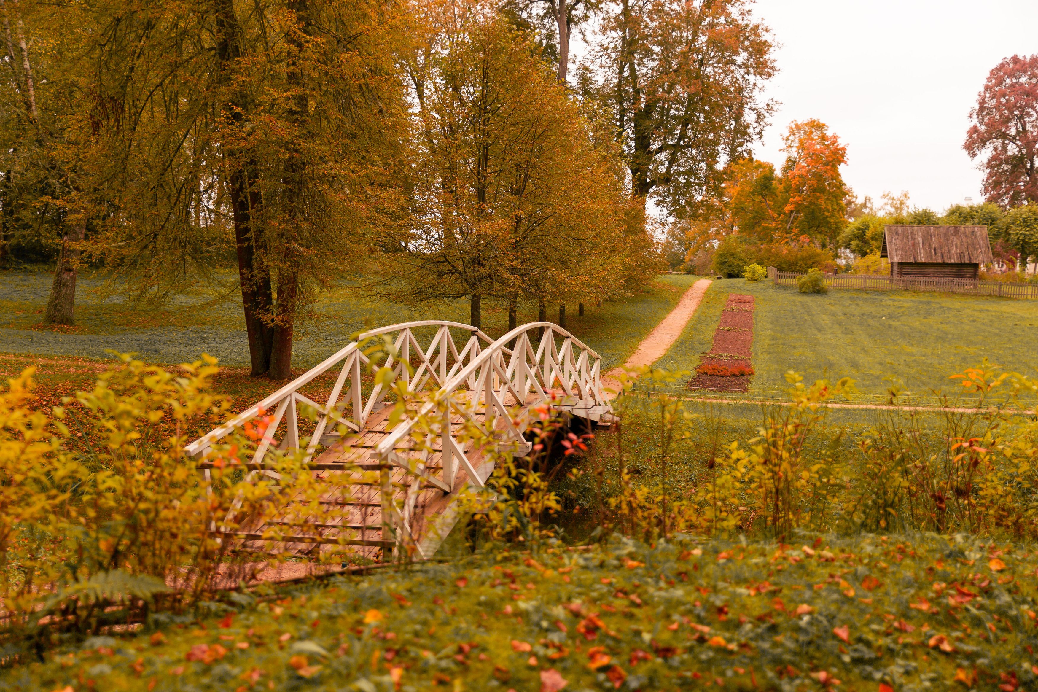 Photograph by Заглубоцкая Ольга