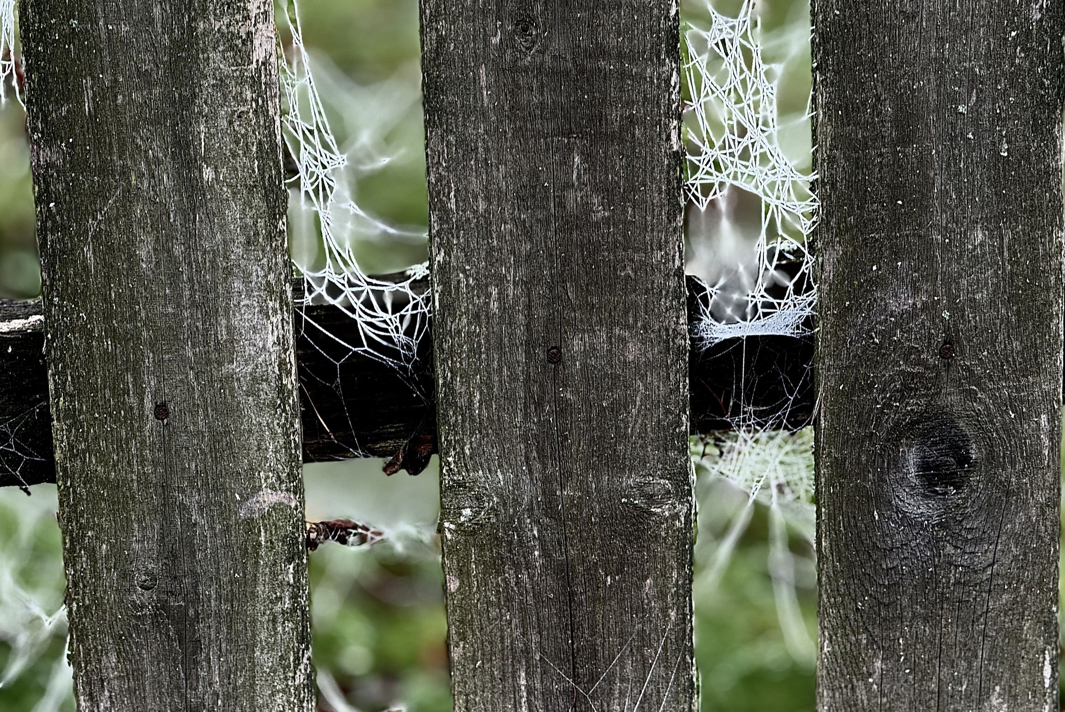 Photograph by Вера Сдвижкова