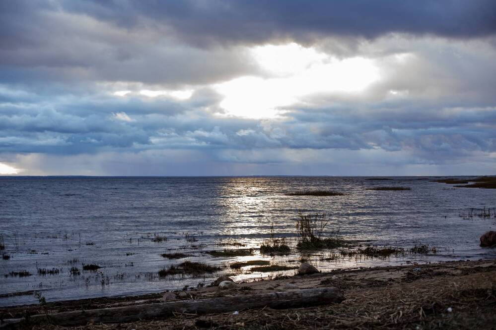 Фотография автора Станислава Гордеева