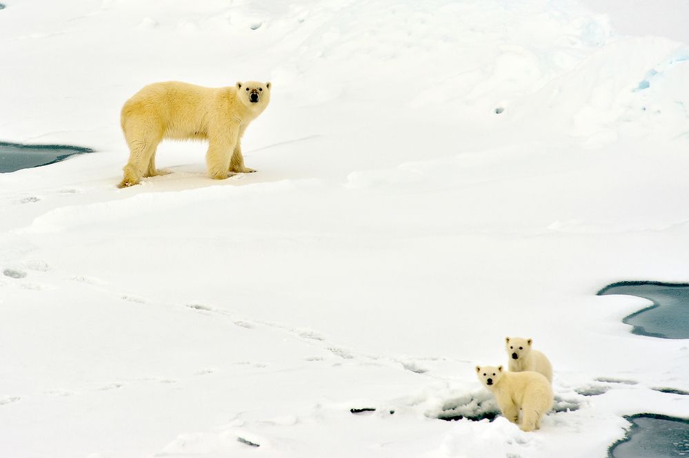 Photograph by Eliseev Nikolay