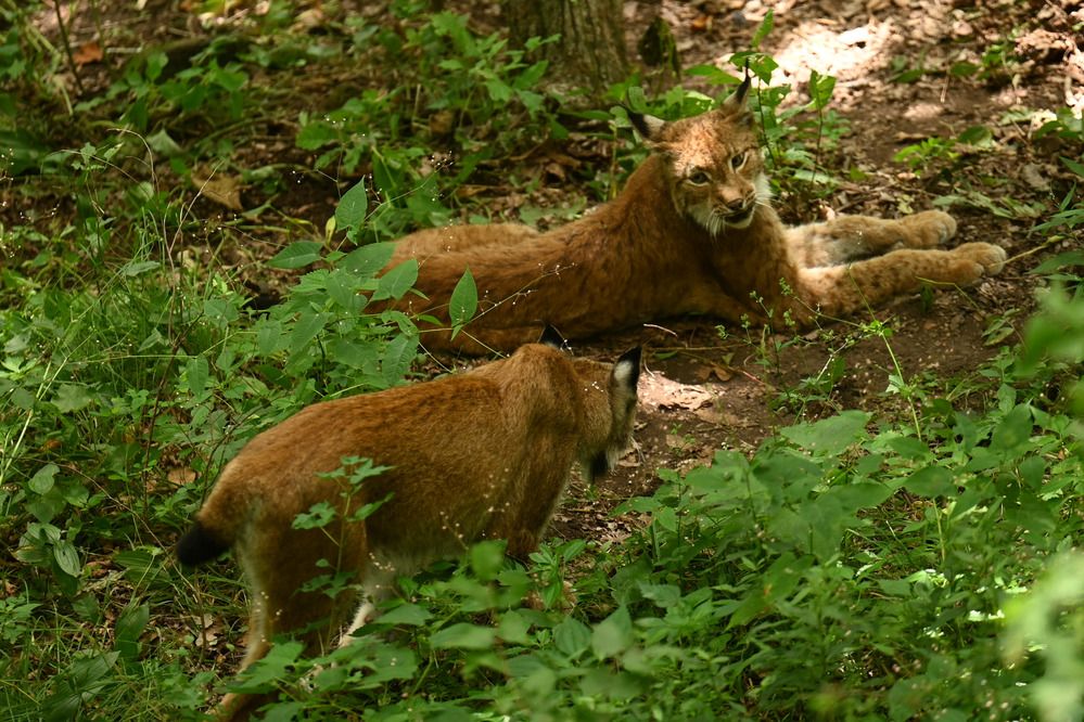 Photograph by Дмитрий Балаев