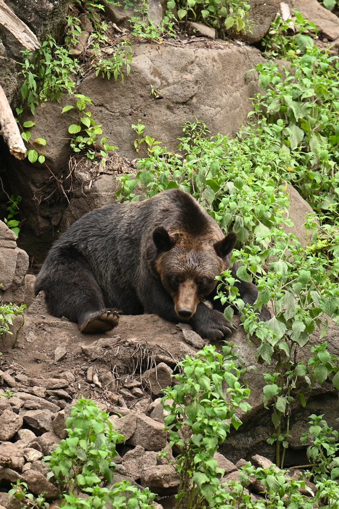 Photograph by Дмитрий Балаев