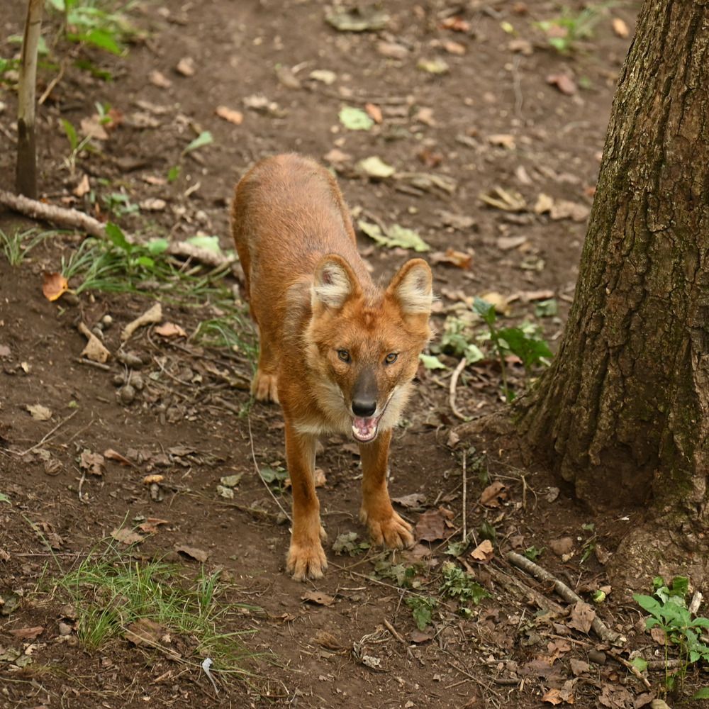 Photograph by Дмитрий Балаев