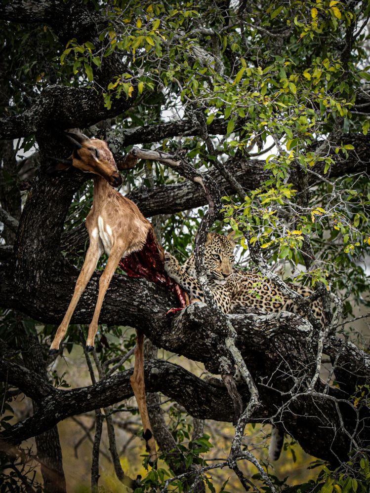 Photograph by Nadine Leonard