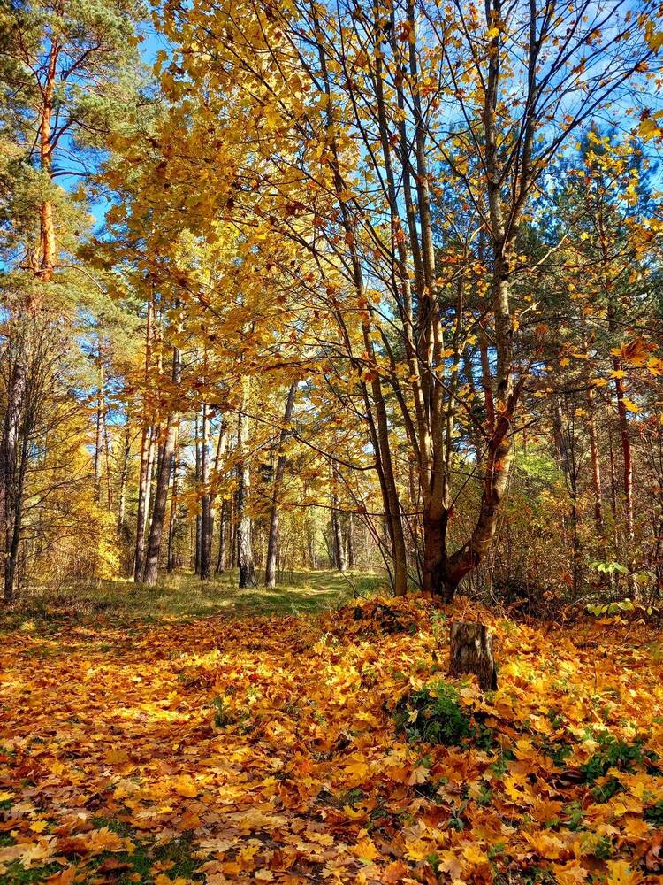 Photograph by Ольга Юрченко