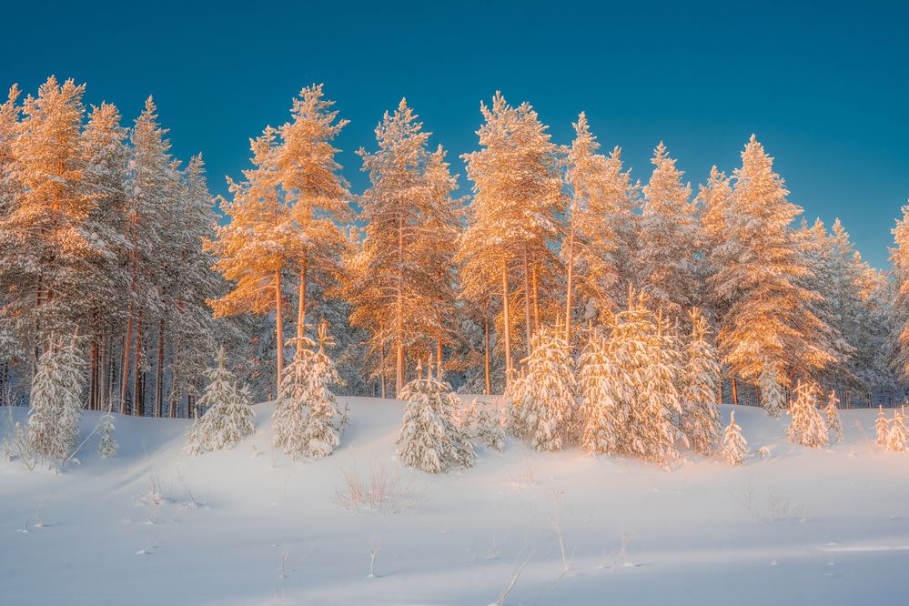 Photograph by Дмитрий Шавловский