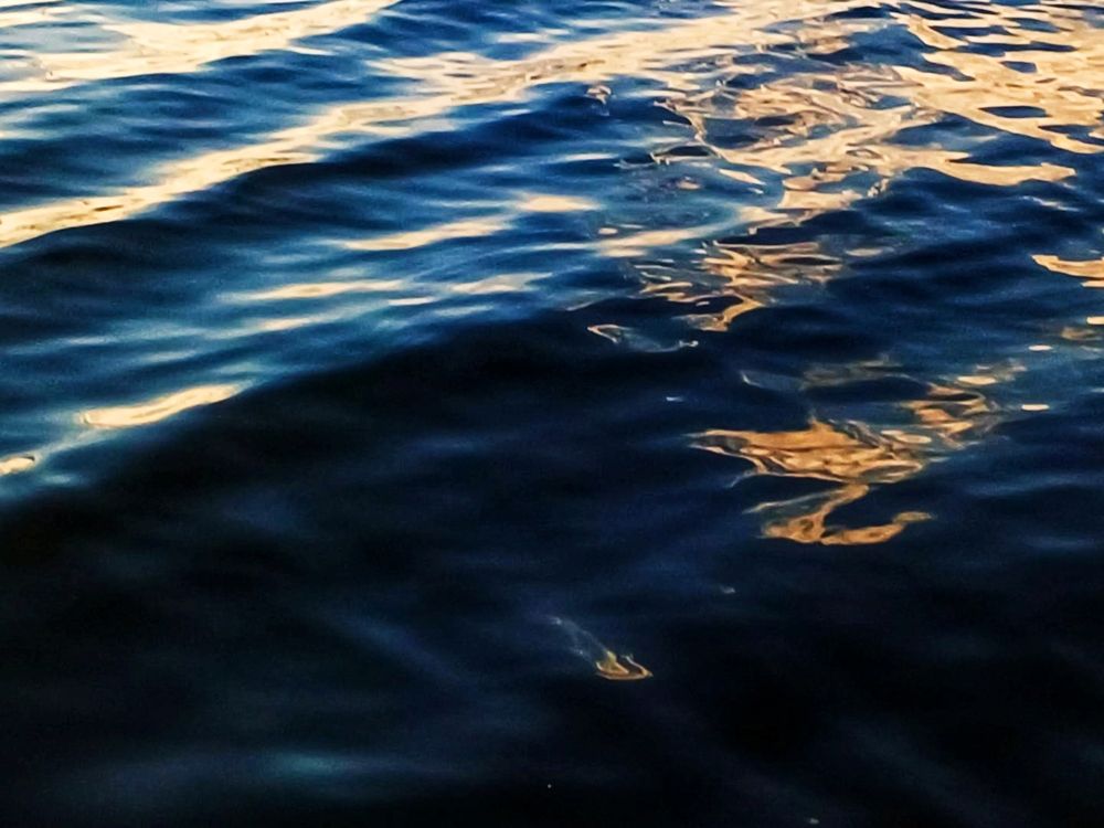 Photograph by adriana menez