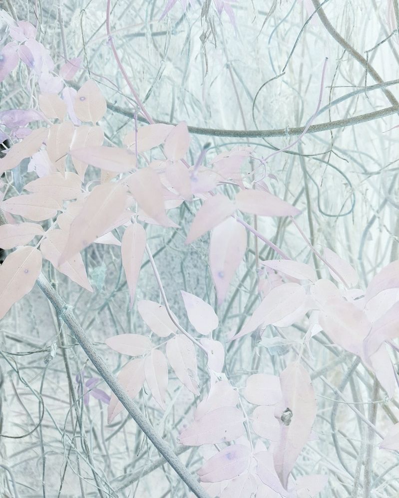 Photograph by adriana menez