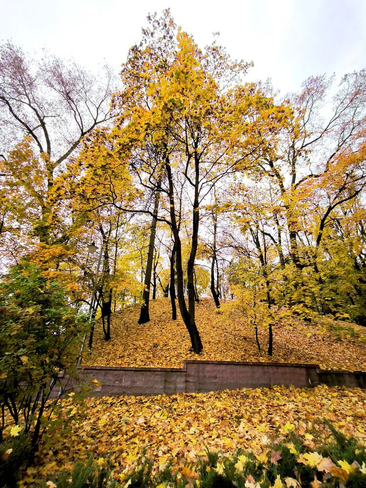 Photograph by Александр Житник