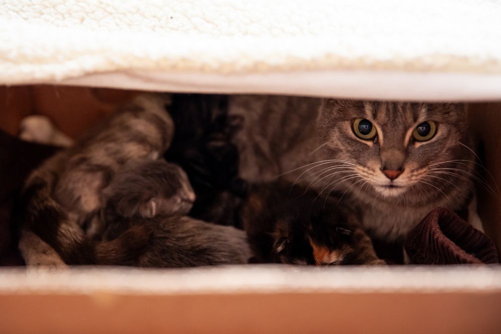 Photograph by Cifuentes Araya Bastián