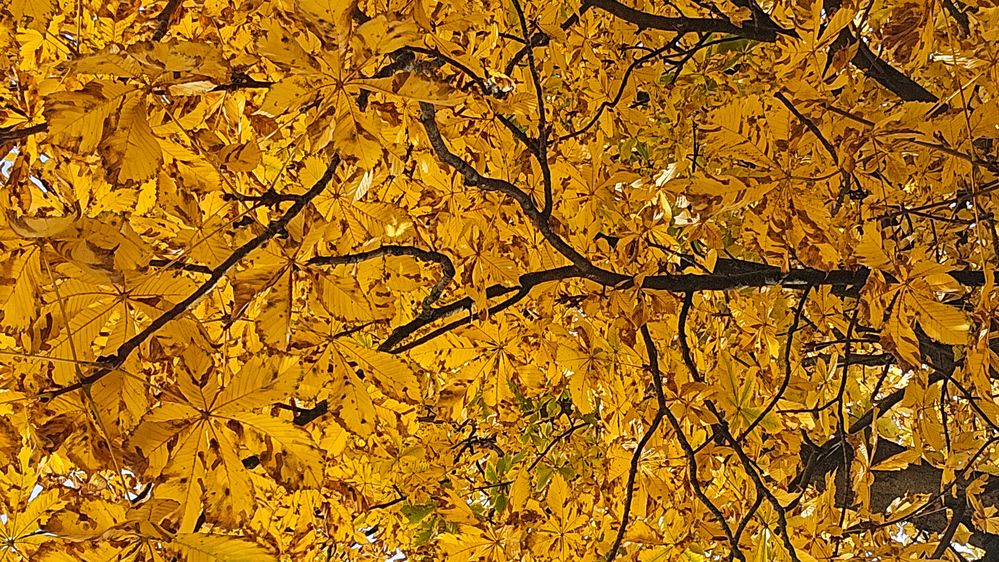 Photograph by Михаил Трусов