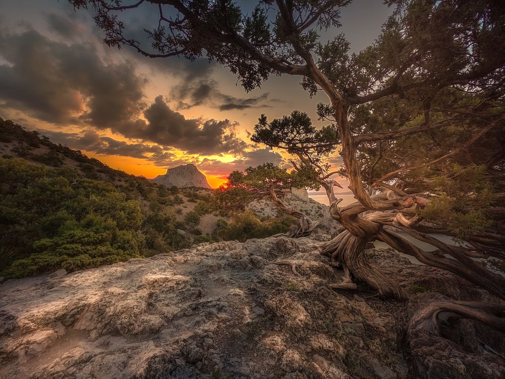 Photograph by Александр Разумов