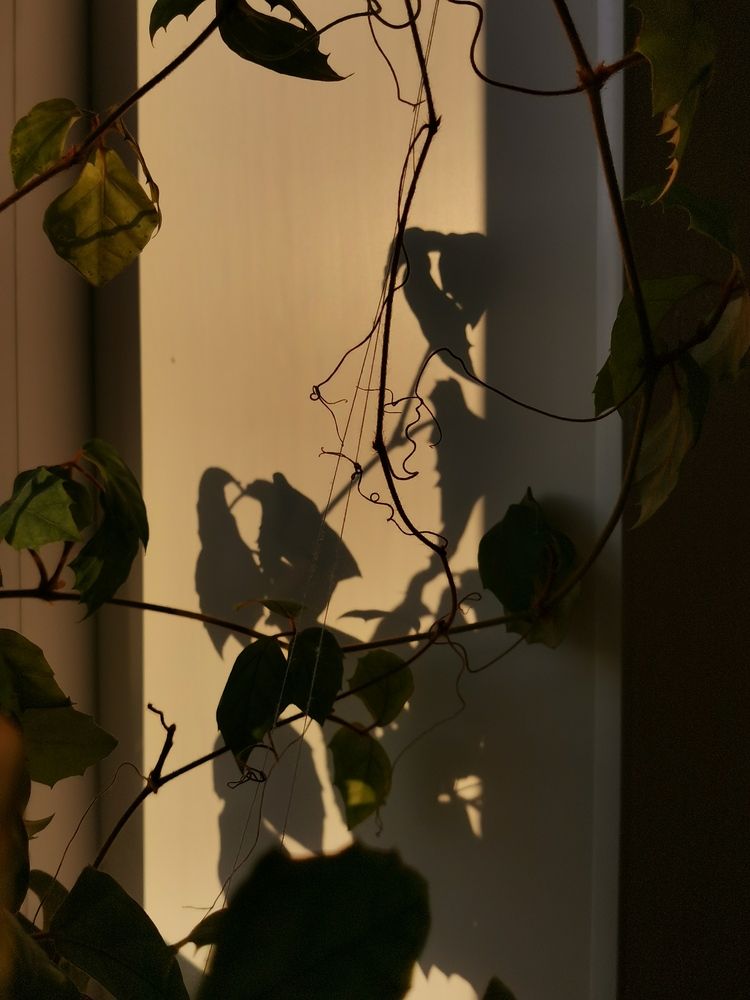 Photograph by Oxana Kostsova