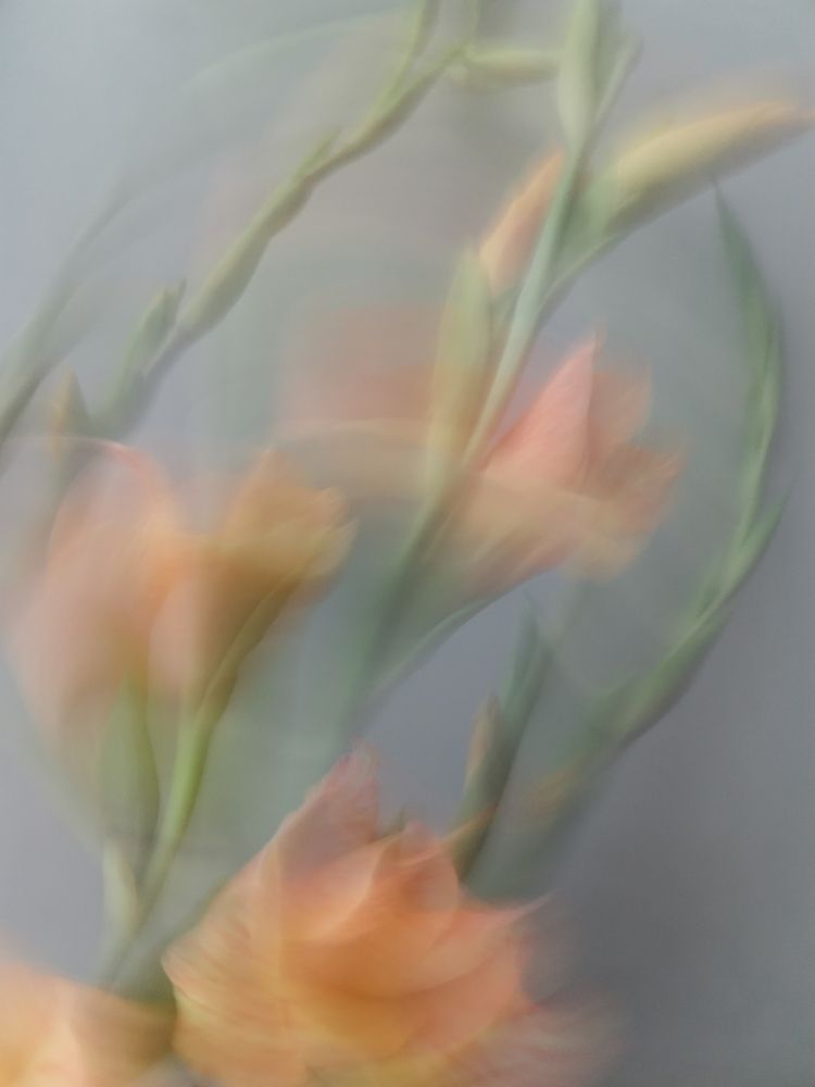 Photograph by Oxana Kostsova