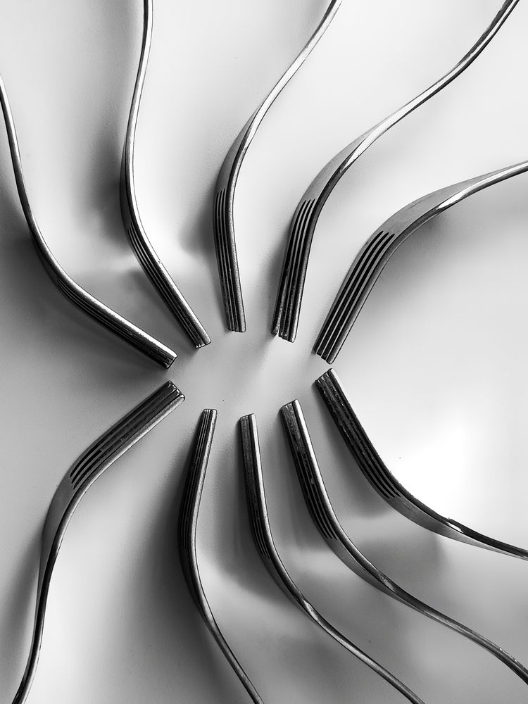 Фотография автора Татьяна Шахова