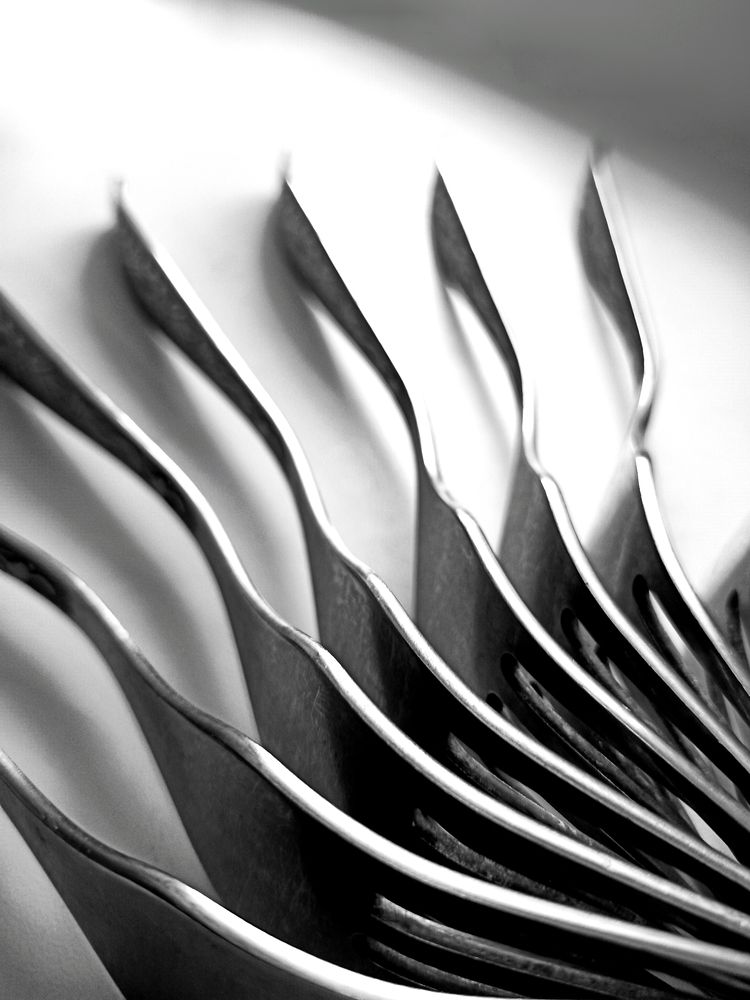 Фотография автора Татьяна Шахова