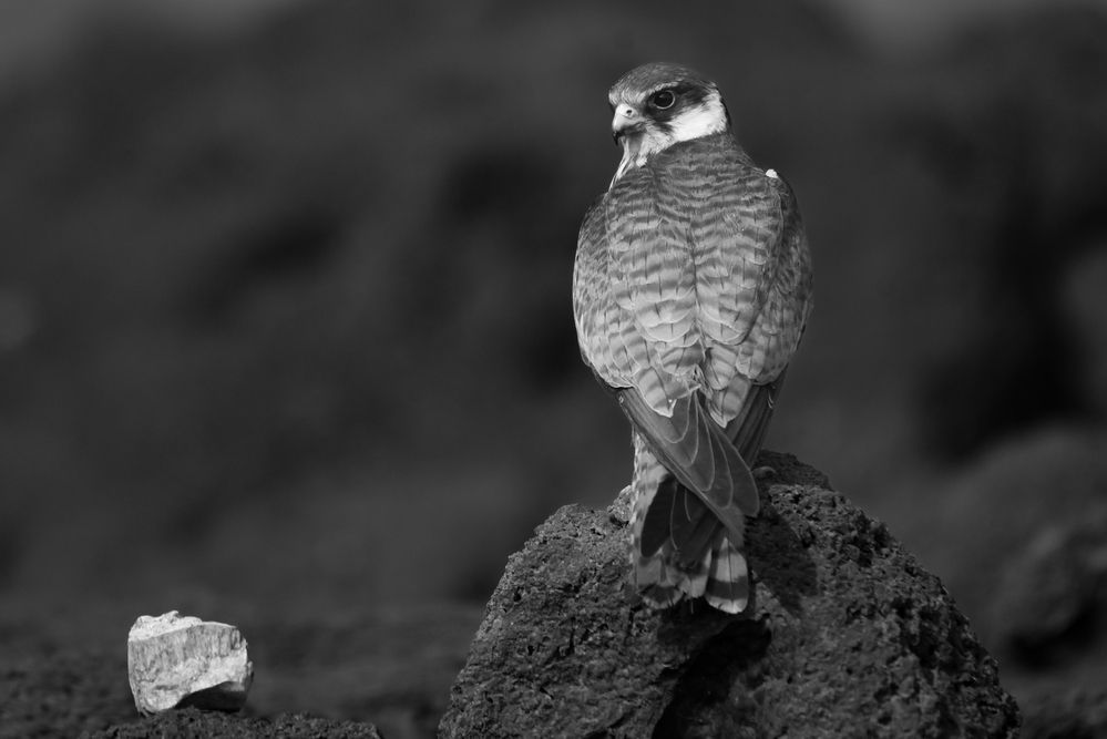 Photograph by Bhavesh Babre