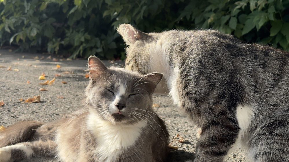 Забота в каждом мгновение