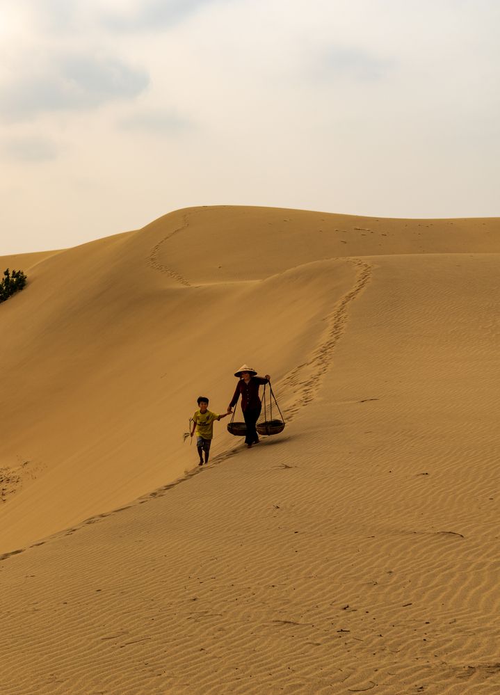 Фотография автора QUAN NGUYEN HUNG