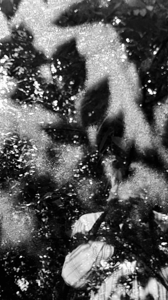 Photograph by Dmitry Grunin