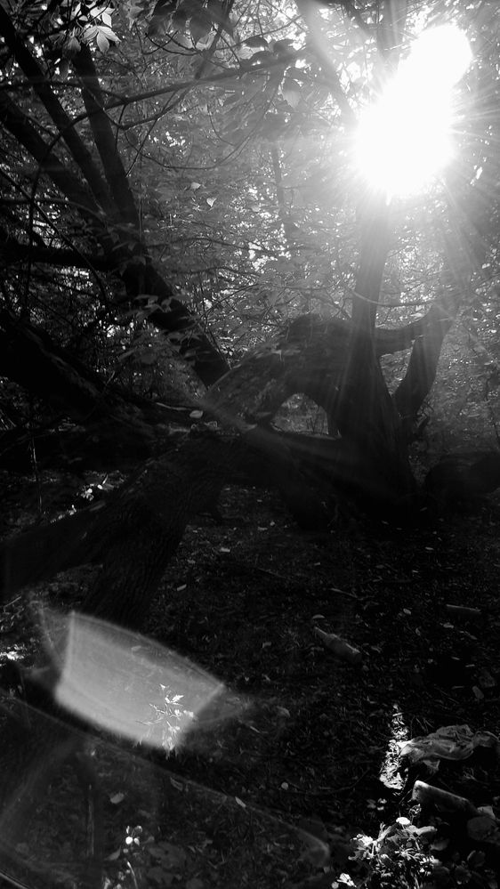 Photograph by Dmitry Grunin