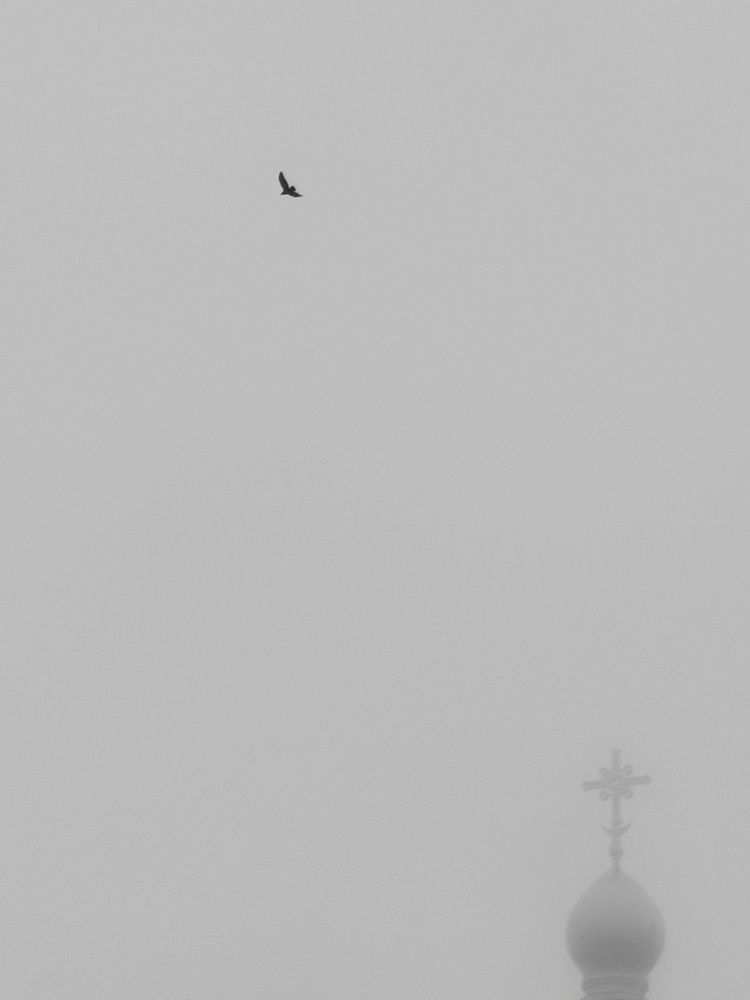 Photograph by Евгений Климов