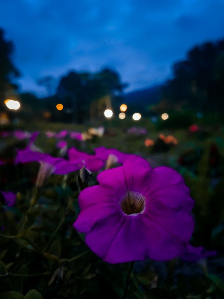 Photograph by Константин Пинигин