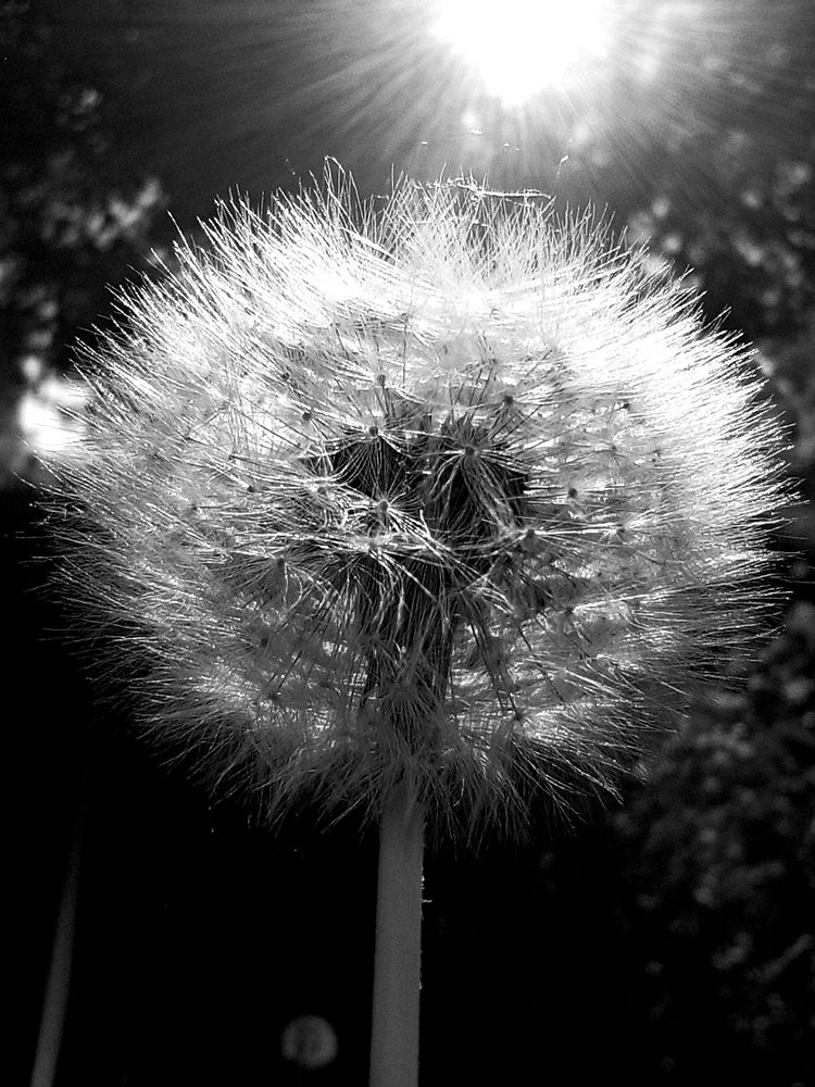 Photograph by Марина Михайлова