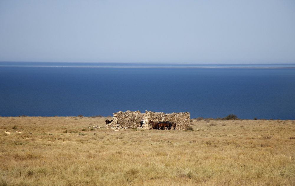 Photograph by Галина Ильясова