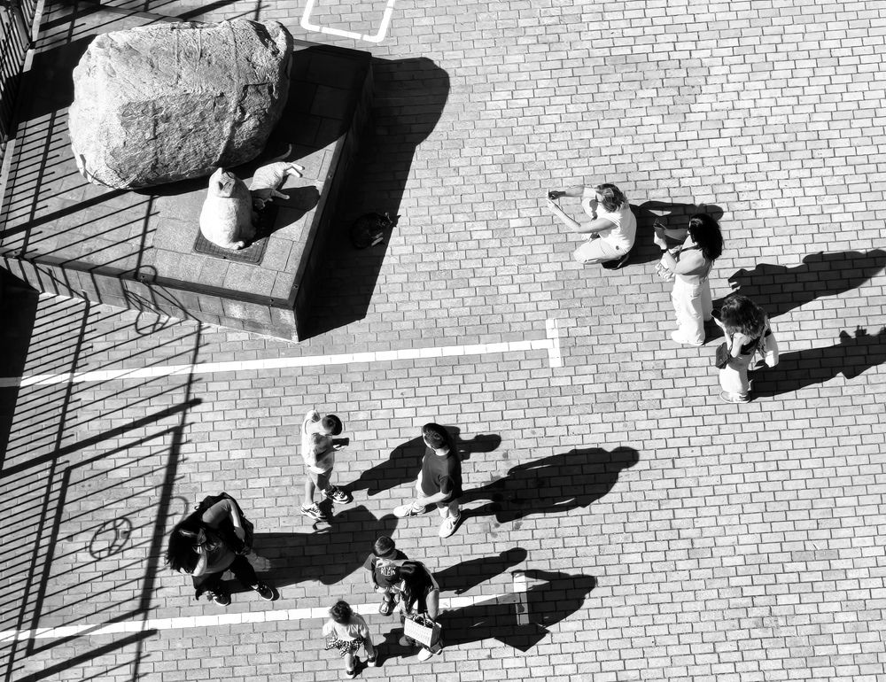 Photograph by 