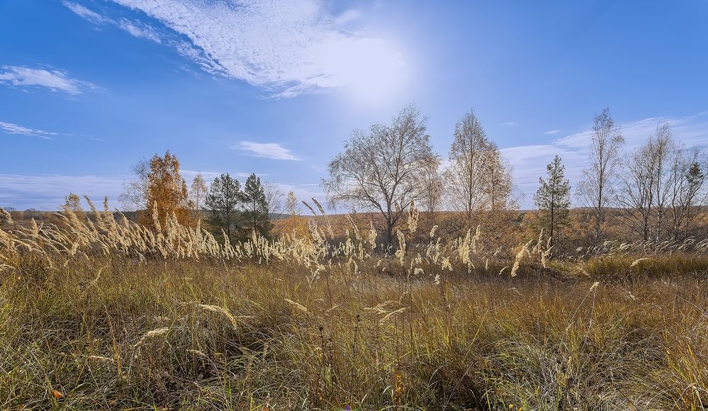 Photograph by Широких Александр