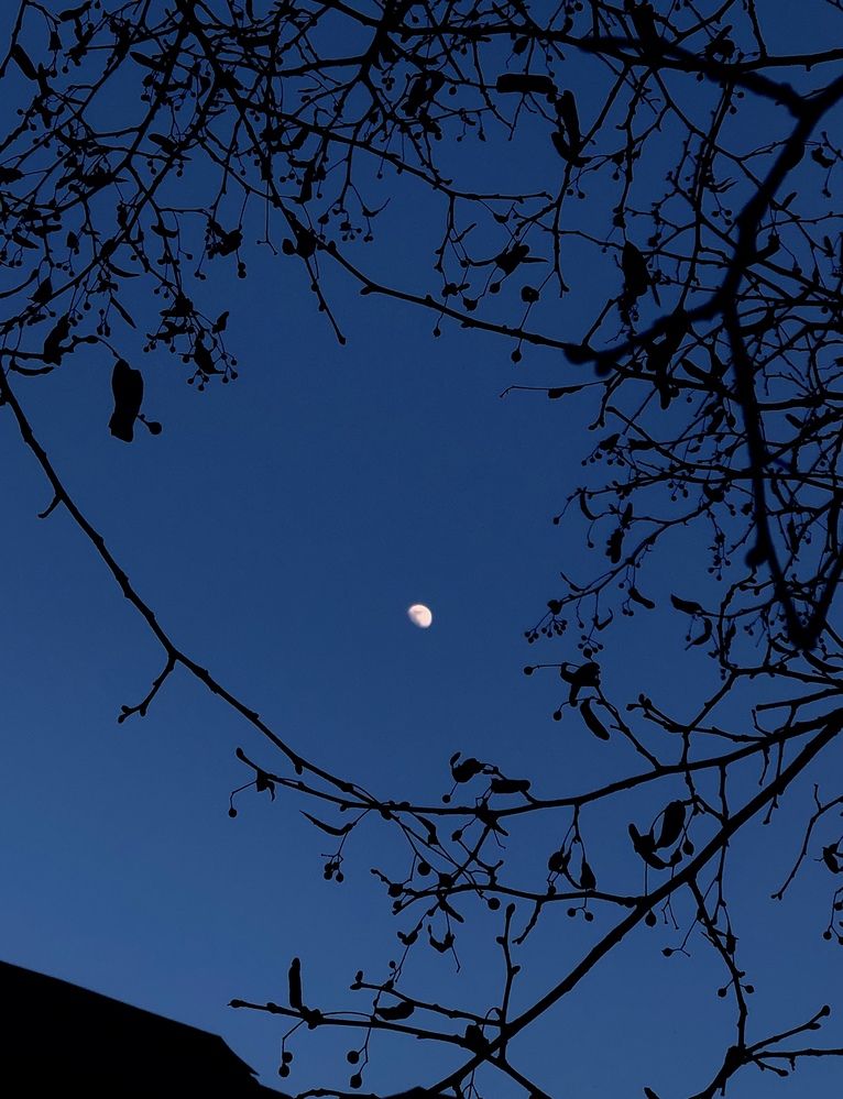 Photograph by Анна Филипьева