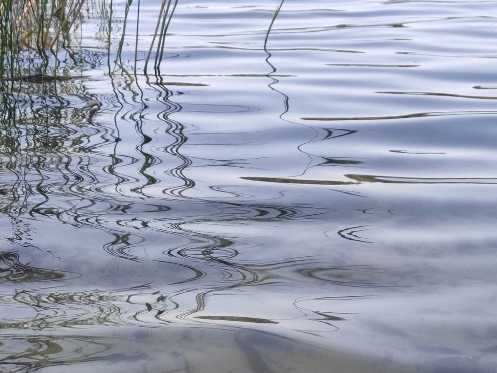Движение мыслей