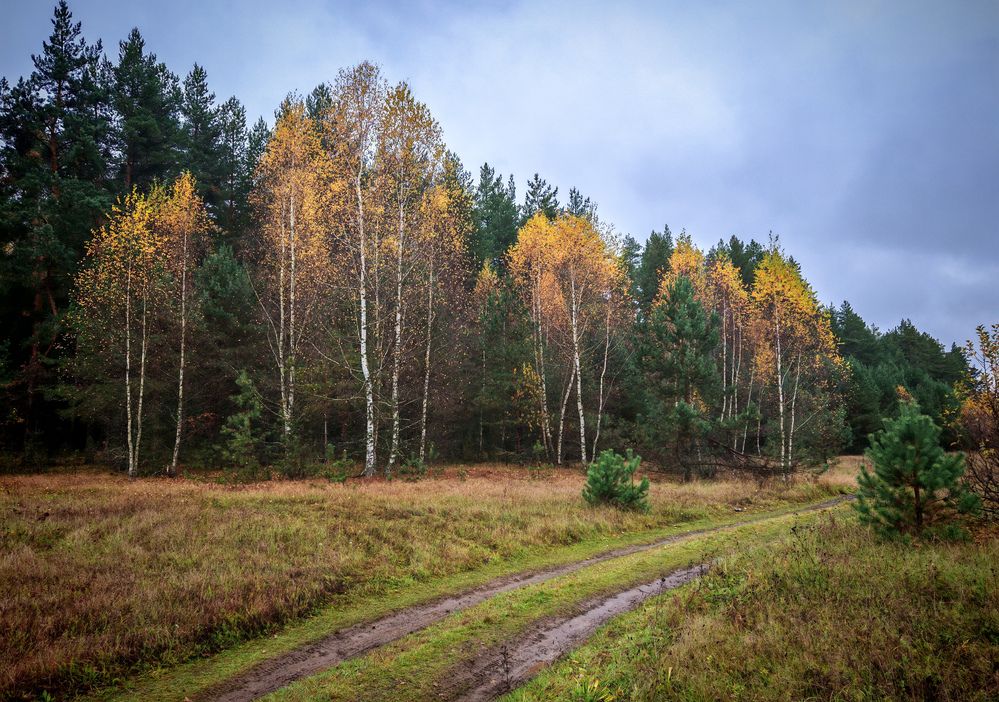 Photograph by Татьяна Романова