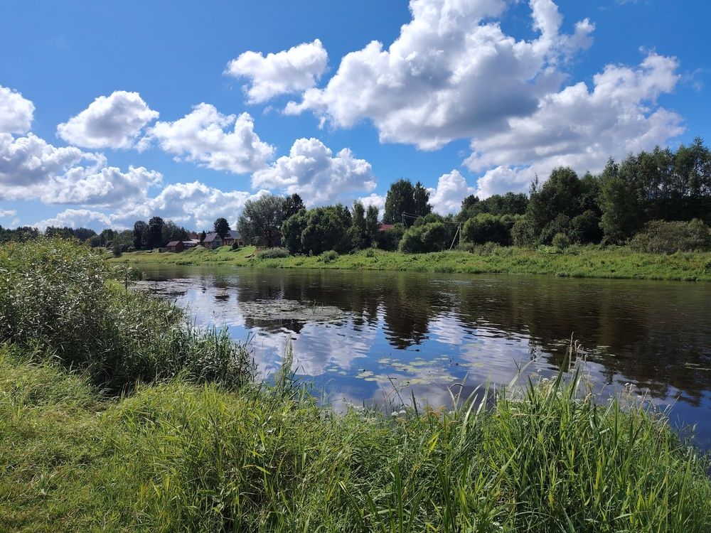 Фотография автора Мария