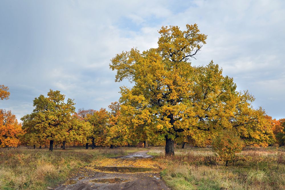 Photograph by Cергей Абакумов