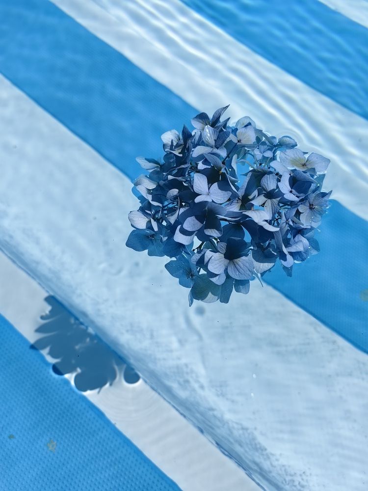 Photograph by Анна Шаповалова