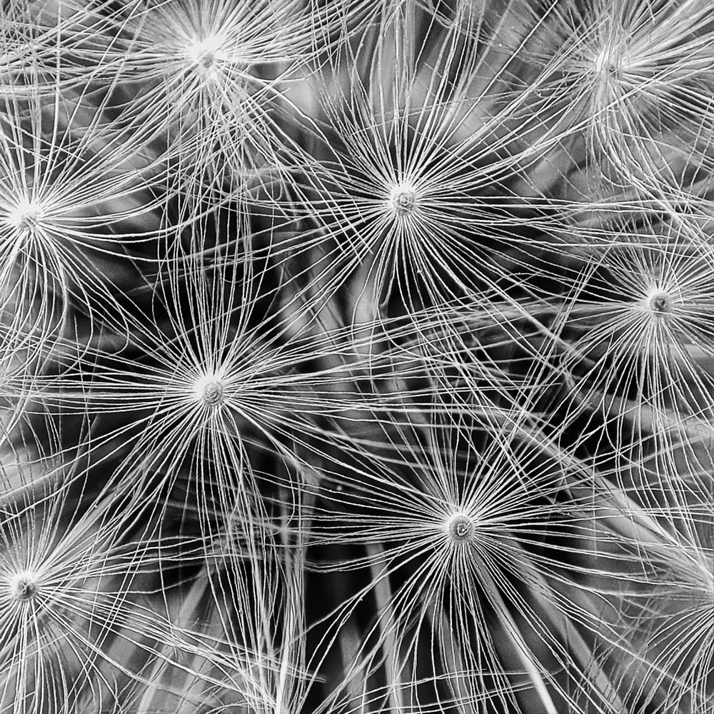 Photograph by Дина Желанова