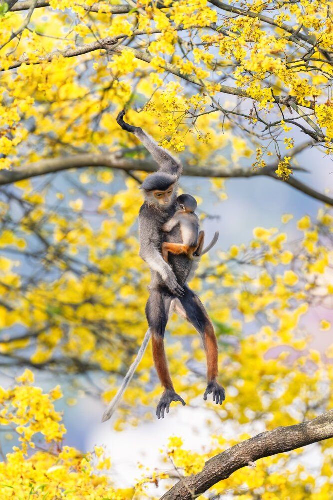 Photograph by Phung Quang hung