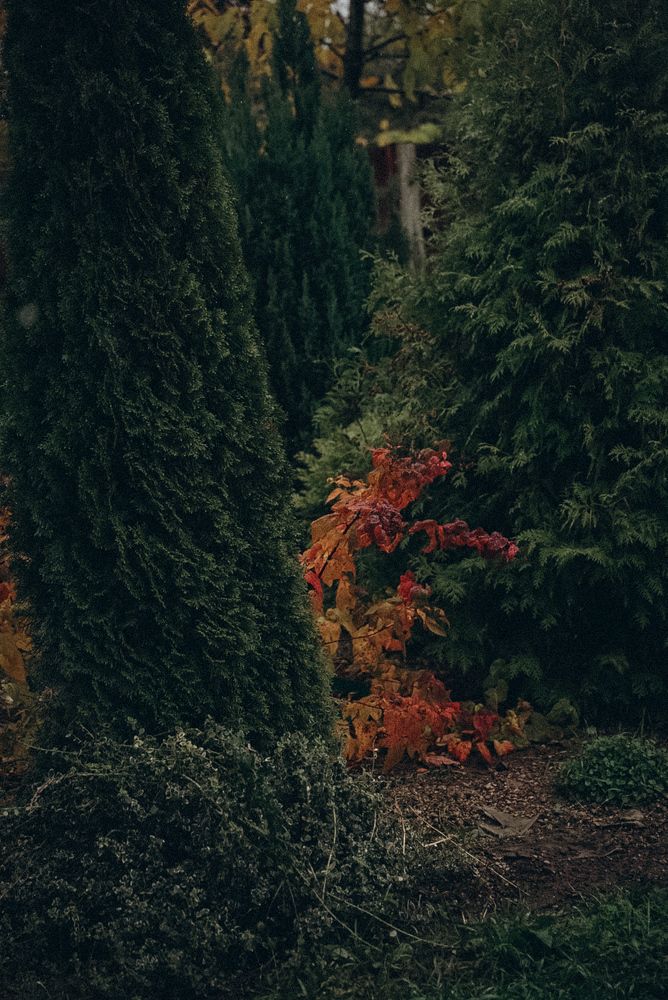 Photograph by Evgenia