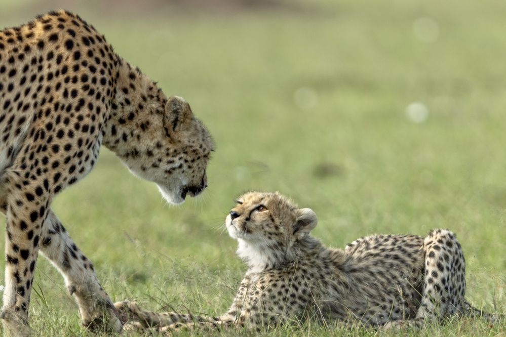 Photograph by Silvia Ribeiro