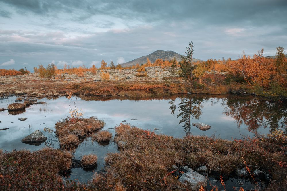 Фотография автора Алексей Новиков