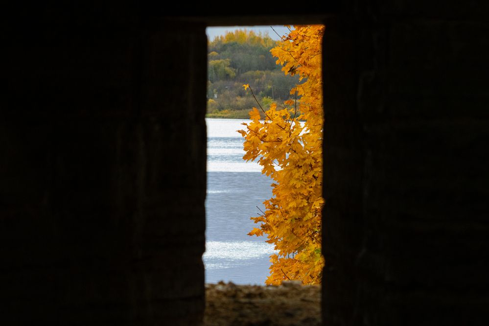 Photograph by Илья Кулаков