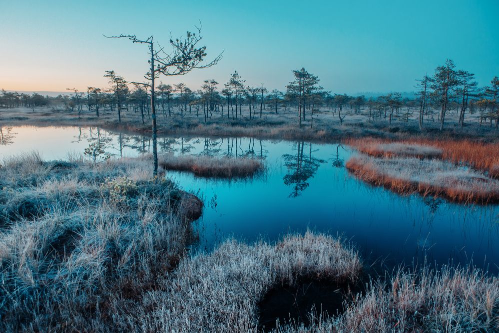 Фотография автора Алексей Новиков